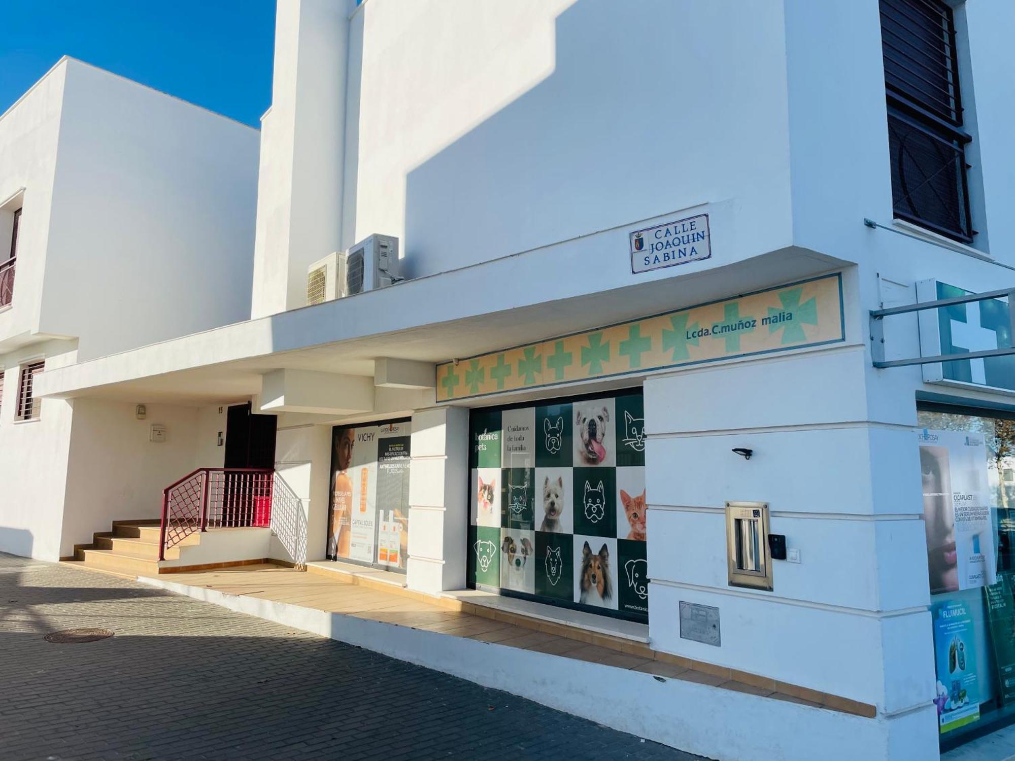 Апартаменты Atico Premium Conil Con 2 Terrazas, Parking, Piscina, Aire Ac Y Wifi -Solo Familias Y Parejas- Кониль-де-ла-Фронтера Экстерьер фото